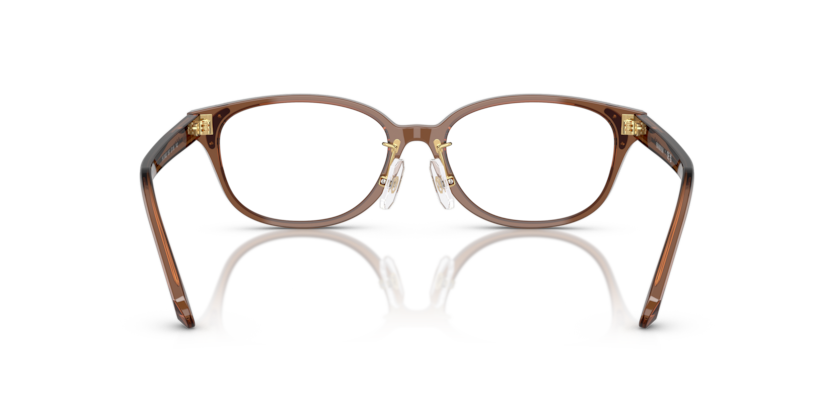 Transparent Brown - 0SK2040D 8056262243992