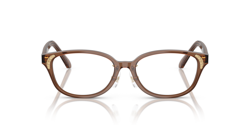 Transparent Brown - 0SK2040D 8056262243992