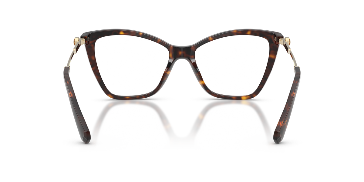 0SK2051 Havana rear view image 3 barcode 8056262553923