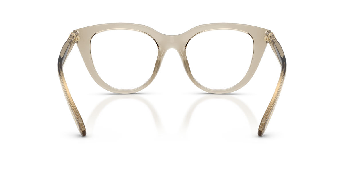 0SK2052 Transparent Beige rear view image 3 barcode 8056262553022