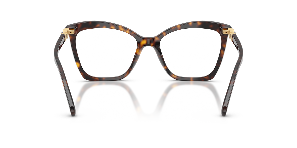 0SK2053 Havana rear view image 3 barcode 8056262551929