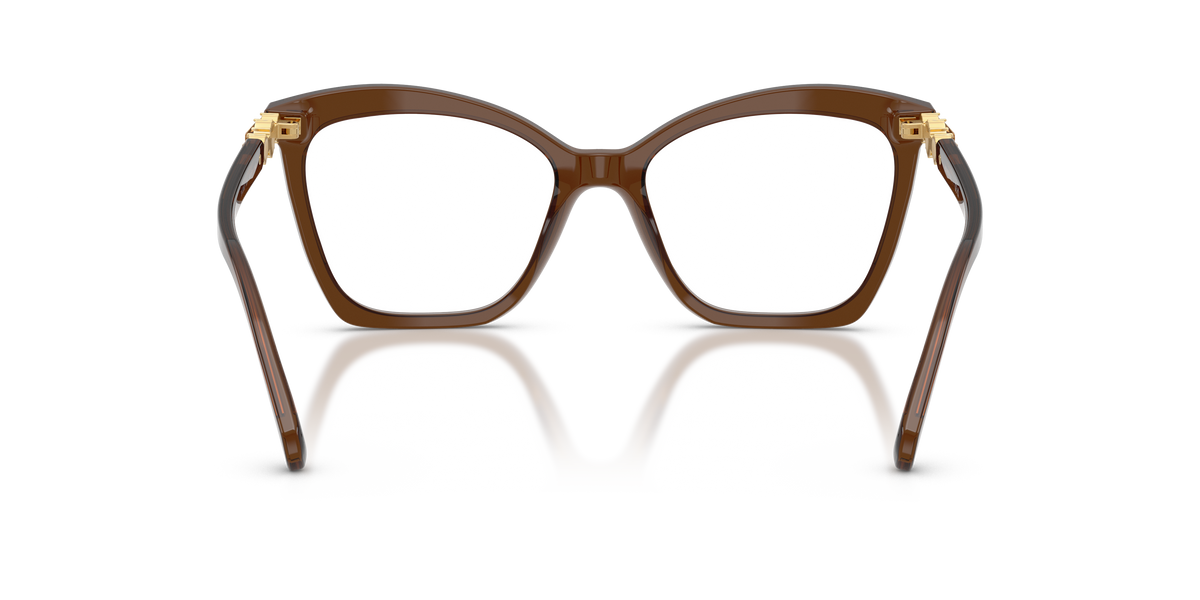 0SK2053 Transparent Brown rear view image 3 barcode 8056262551981