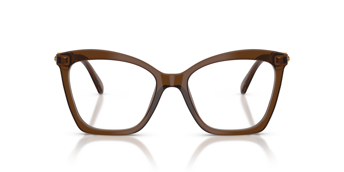 0SK2053 Transparent Brown front view image 4 barcode 8056262551981