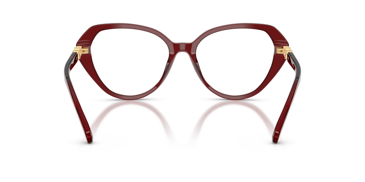 0SK2054 Transparent Burgundy rear view image 3 barcode 8056262552452