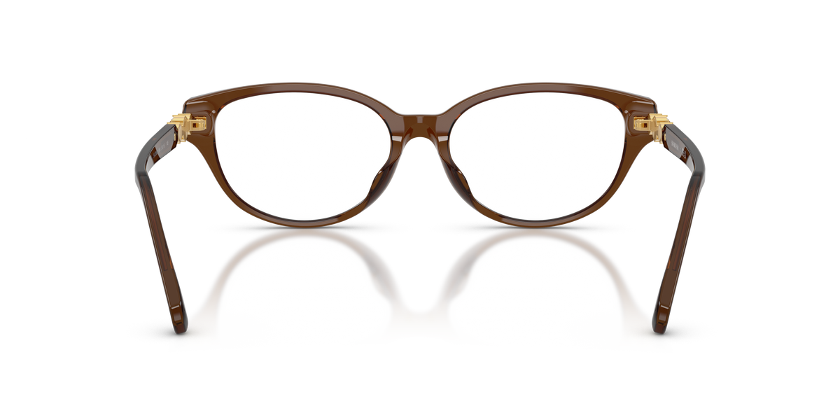 0SK2058D Transparent Brown rear view image 3 barcode 8056262564905
