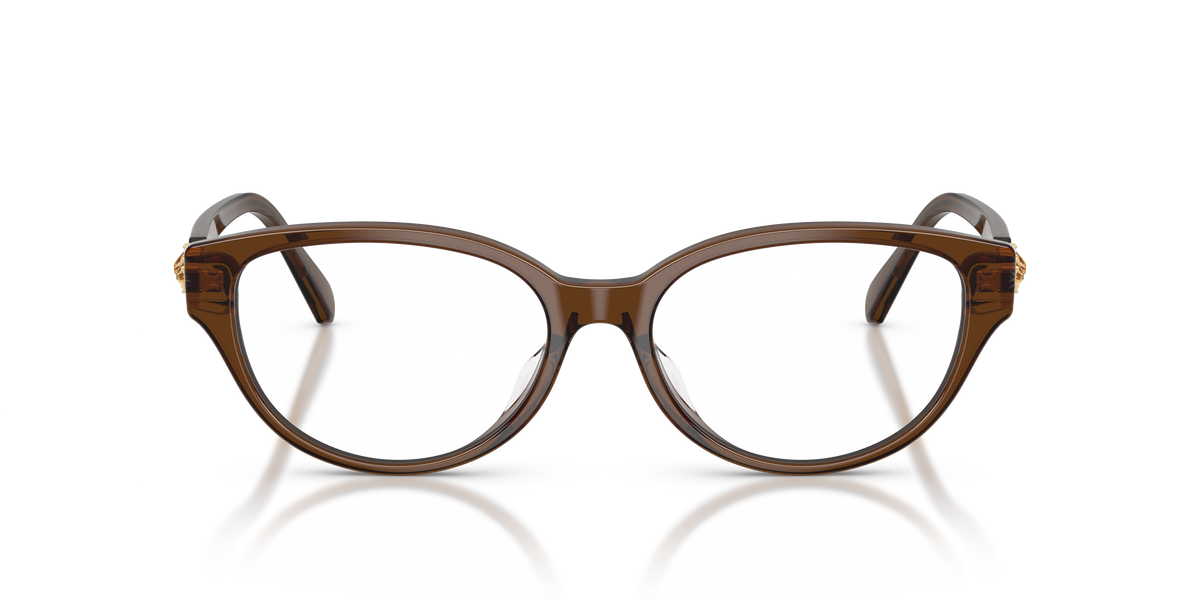 0SK2058D Transparent Brown front view image 4 barcode 8056262564905