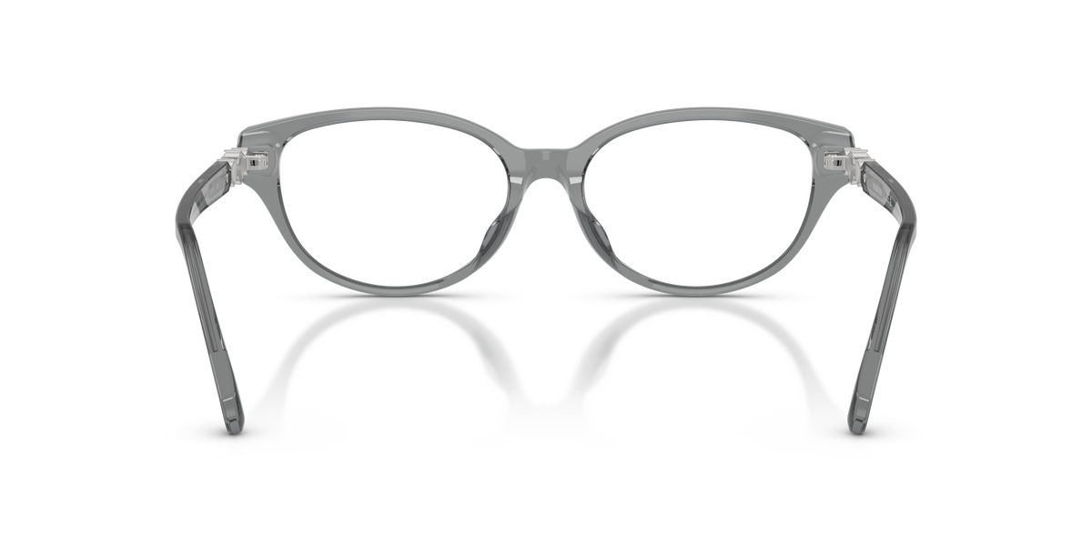 0SK2058D Transparent Dark Grey rear view image 3 barcode 8056262564912