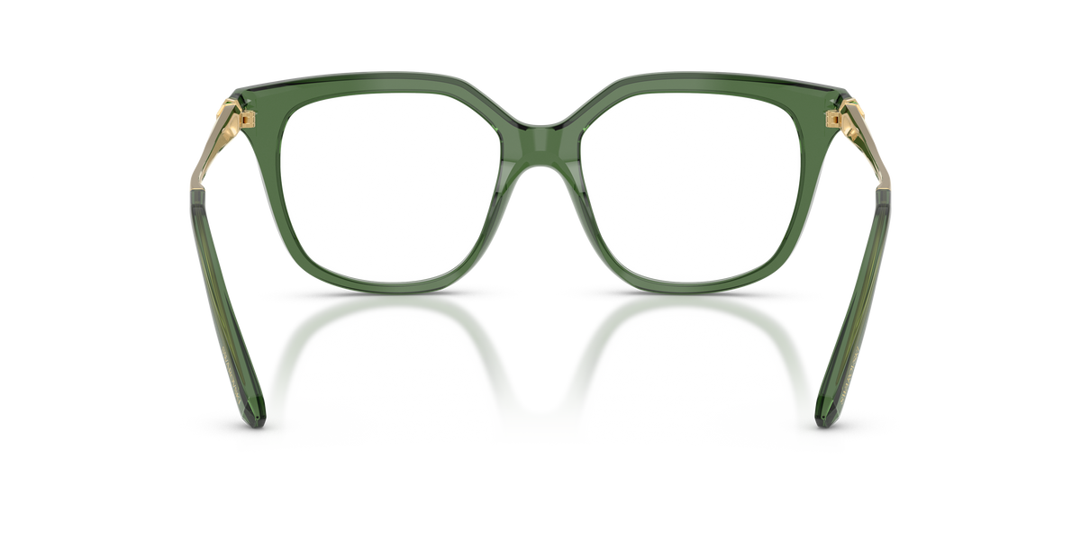 0SK2059 Transparent Green rear view image 3 barcode 8056262843802