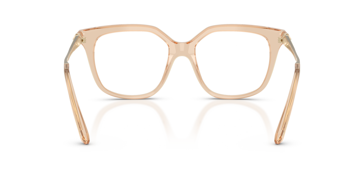 0SK2059 Transparent Beige rear view image 3 barcode 8056262843826