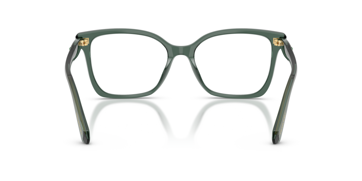 0SK2061 Transparent Green rear view image 3 barcode 8056262838563