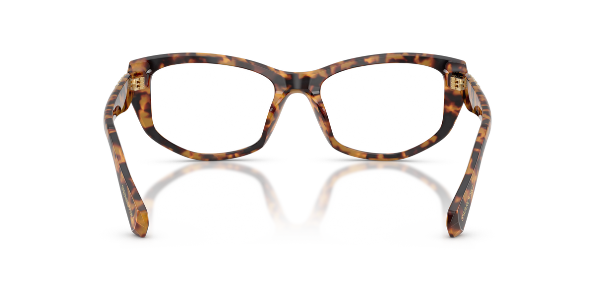 0SK2062U Light Havana rear view image 3 barcode 8056262838402