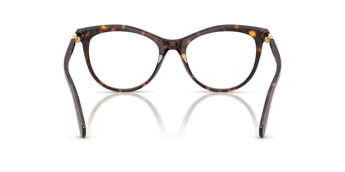 0SK2064 Havana rear view image 3 barcode 8056262850824