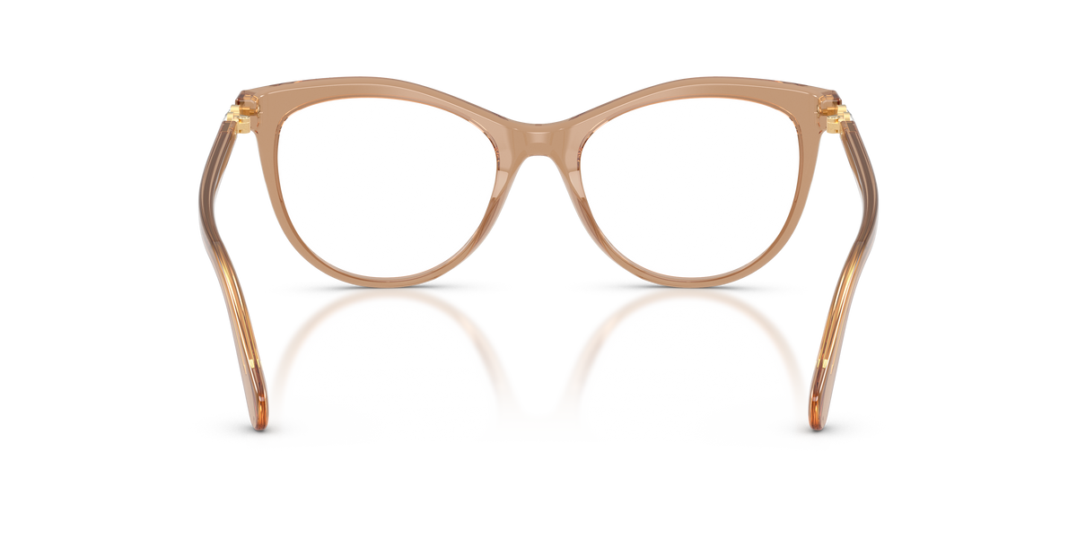 0SK2064 Transparent Beige rear view image 3 barcode 8056262944028