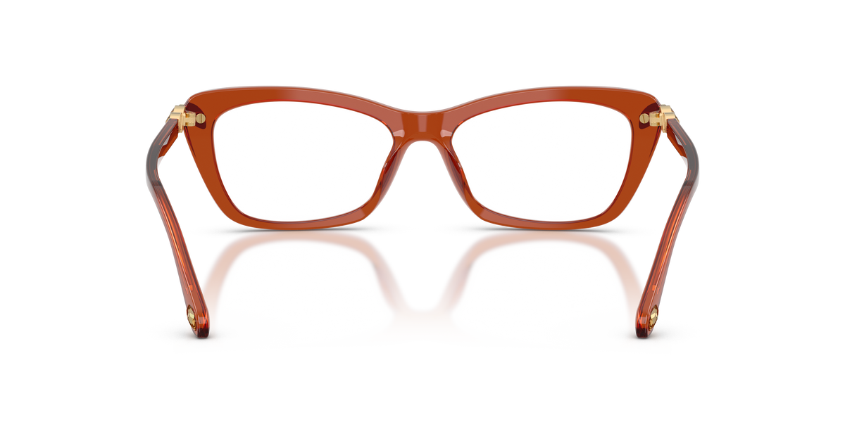 0SK2068U Transparent Caramel rear view image 3 barcode 8056262943755