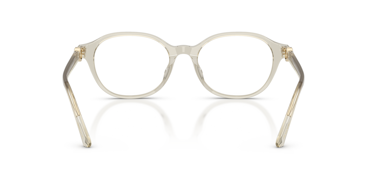 0SK2077D Transparent Beige rear view image 3 barcode 8056262942925