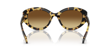 Medium Havana - 0SK6005 8056597960069