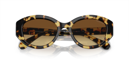 Medium Havana - 0SK6005 8056597960069