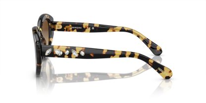 Medium Havana - 0SK6005 8056597960069