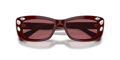 Burgundy - 0SK6008 8056597963763