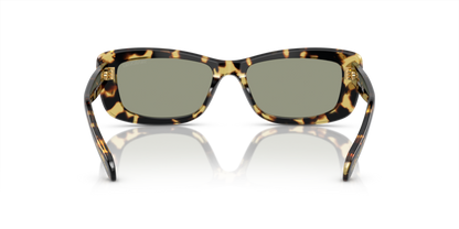 Medium Havana - 0SK6008 8056597963756