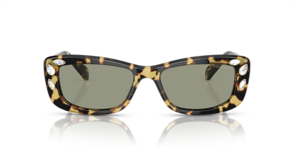 Medium Havana - 0SK6008 8056597963756