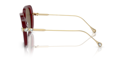 Transparent Burgundy - 0SK6011 8056262082188