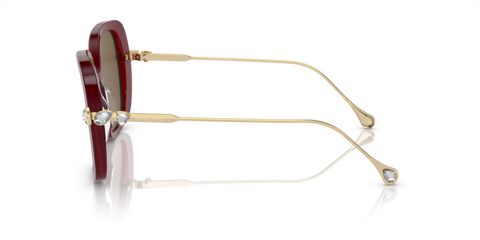 Transparent Burgundy - 0SK6011 8056262082188