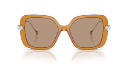 Transparent Amber Brown - 0SK6011 8056597966719