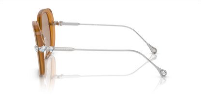 Transparent Amber Brown - 0SK6011 8056597966719