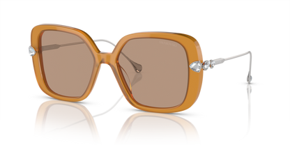 Transparent Amber Brown - 0SK6011 8056597966719