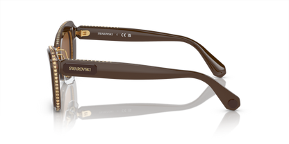 Brown Light Brown - 0SK6012 8056597957991