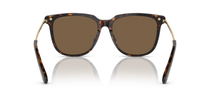 Dark Havana - 0SK6015D 8056597982832