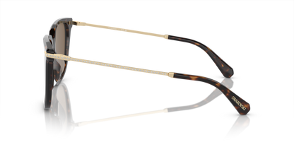 Dark Havana - 0SK6015D 8056597982832