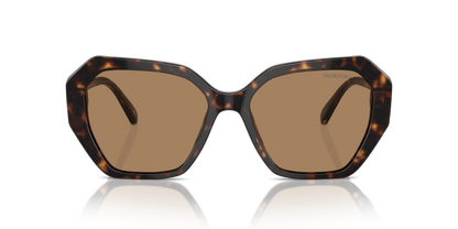 Dark Havana - 0SK6017 8056262063460