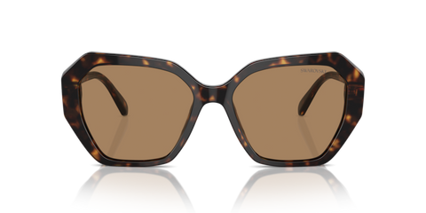Dark Havana - 0SK6017 8056262063460