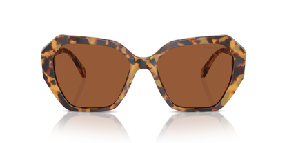 Medium Havana - 0SK6017 8056262063477