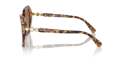 Medium Havana - 0SK6017 8056262063477