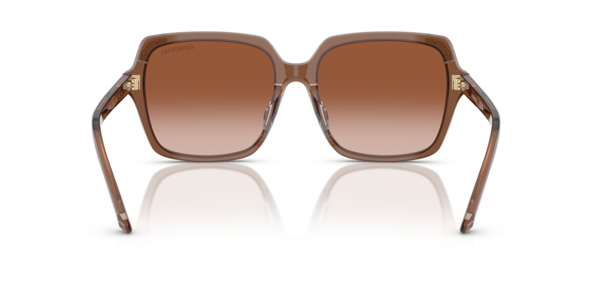 Transparent Brown - 0SK6034D 8056262240632