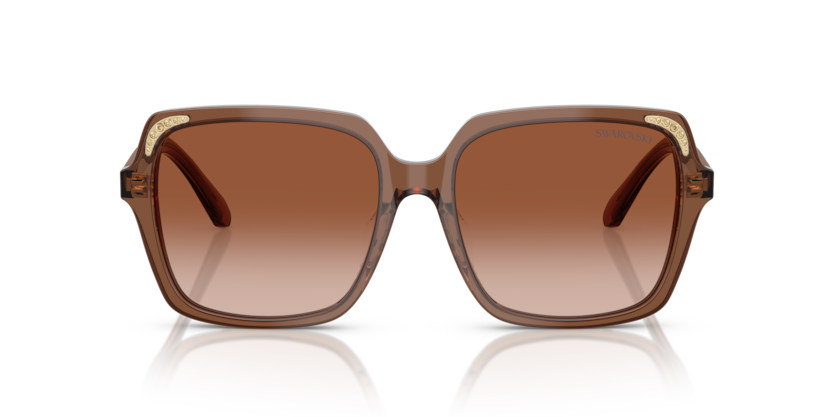 Transparent Brown - 0SK6034D 8056262240632