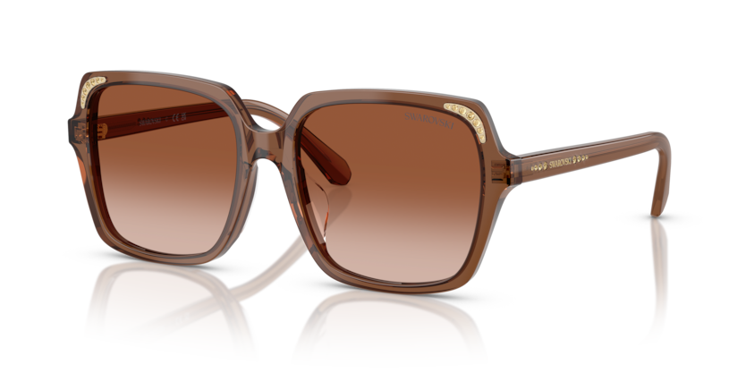 Transparent Brown - 0SK6034D 8056262240632