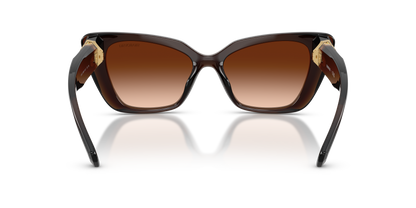 0SK6047 Transparent Brown rear view image 3 barcode 8056262552650