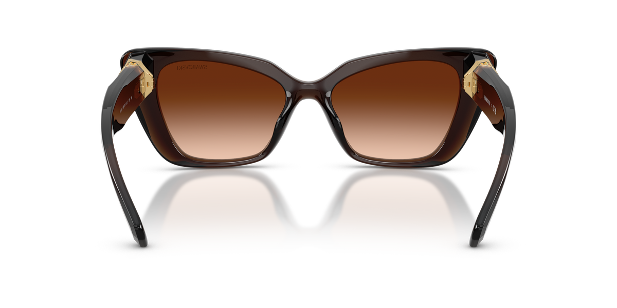 0SK6047 Transparent Brown rear view image 3 barcode 8056262552650