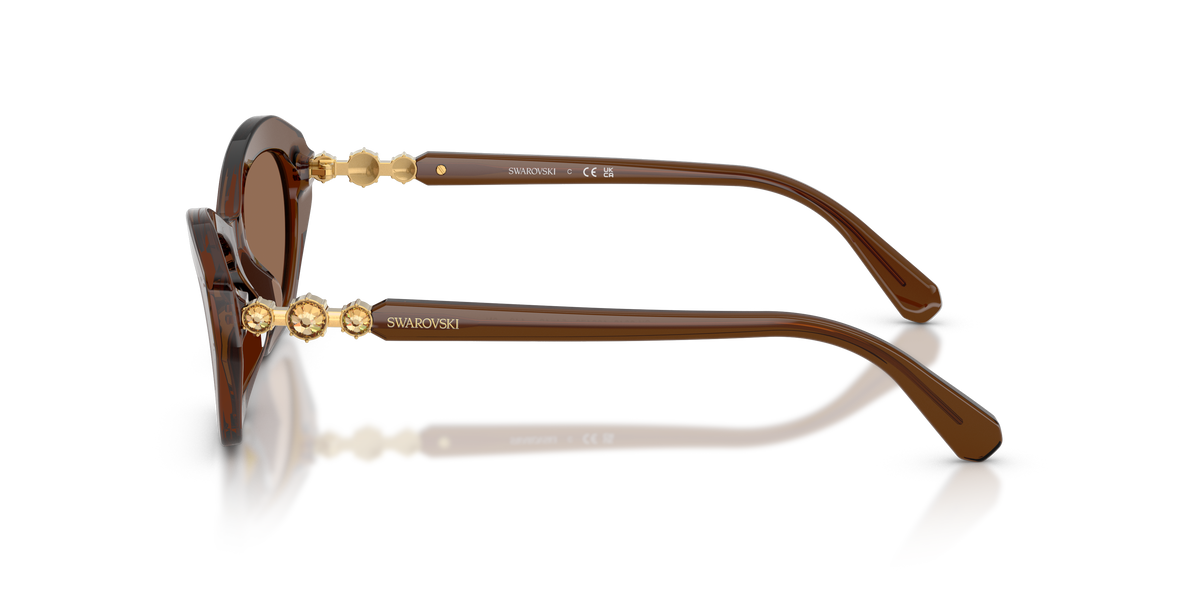 0SK6048 Transparent Brown side view image 2 barcode 8056262551080
