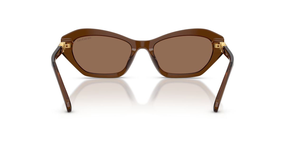 0SK6048 Transparent Brown rear view image 3 barcode 8056262551080