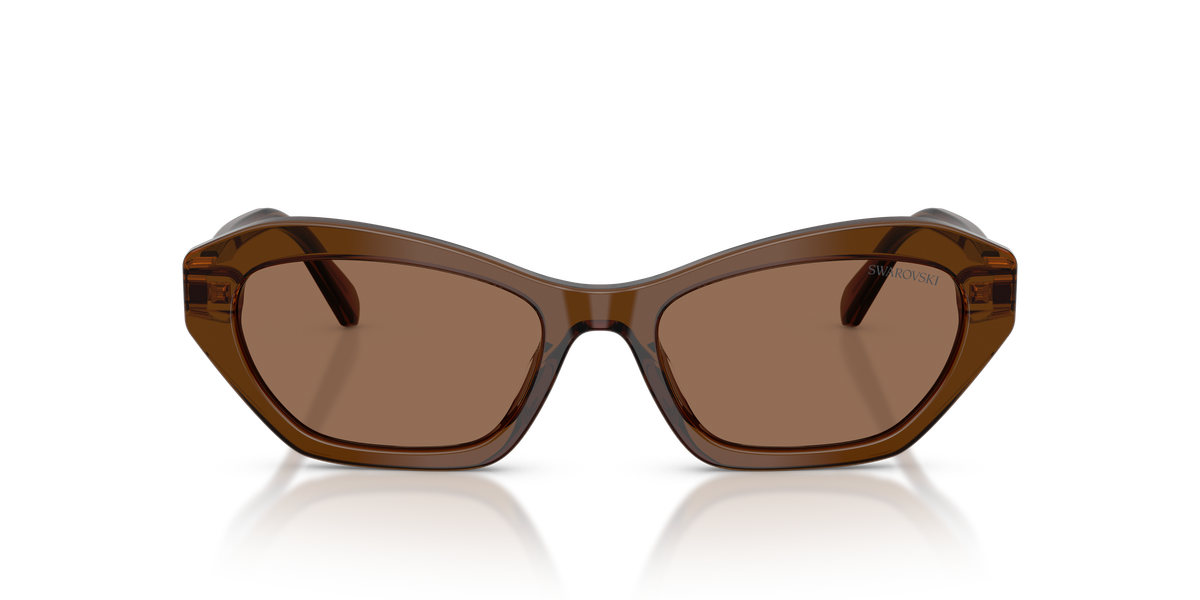 0SK6048 Transparent Brown front view image 4 barcode 8056262551080