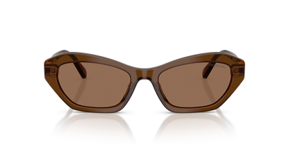 0SK6048 Transparent Brown front view image 4 barcode 8056262551080