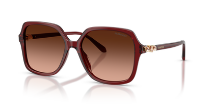 0SK6067 Transparent Burgundy three quarter view image 1 barcode 8056262943502