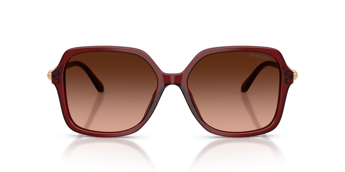 0SK6067 Transparent Burgundy front view image 4 barcode 8056262943502