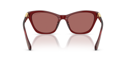 0SK6068U Transparent Burgundy rear view image 3 barcode 8056262938867