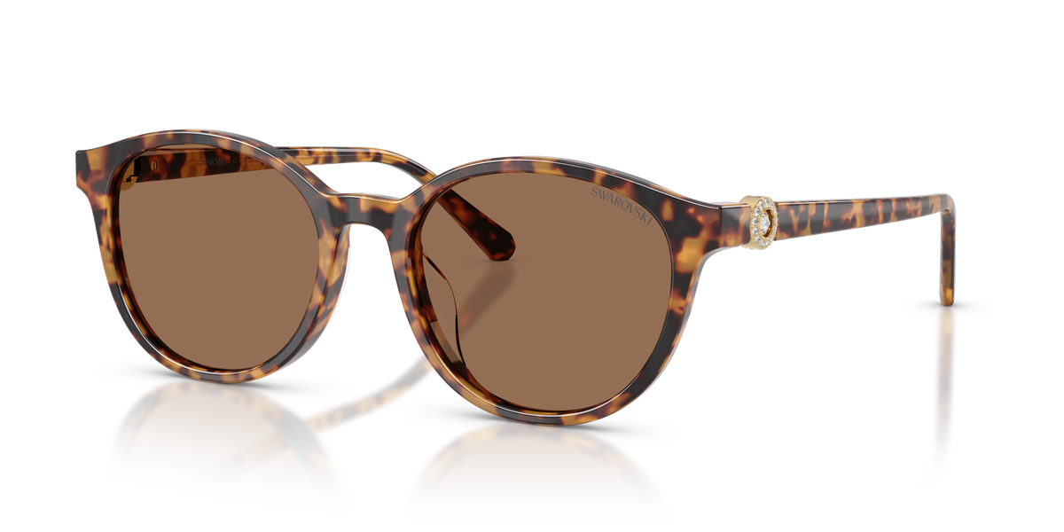 0SK6075D Havana / Dark Brown (104073) three quarter view image 1 barcode 8056262944349